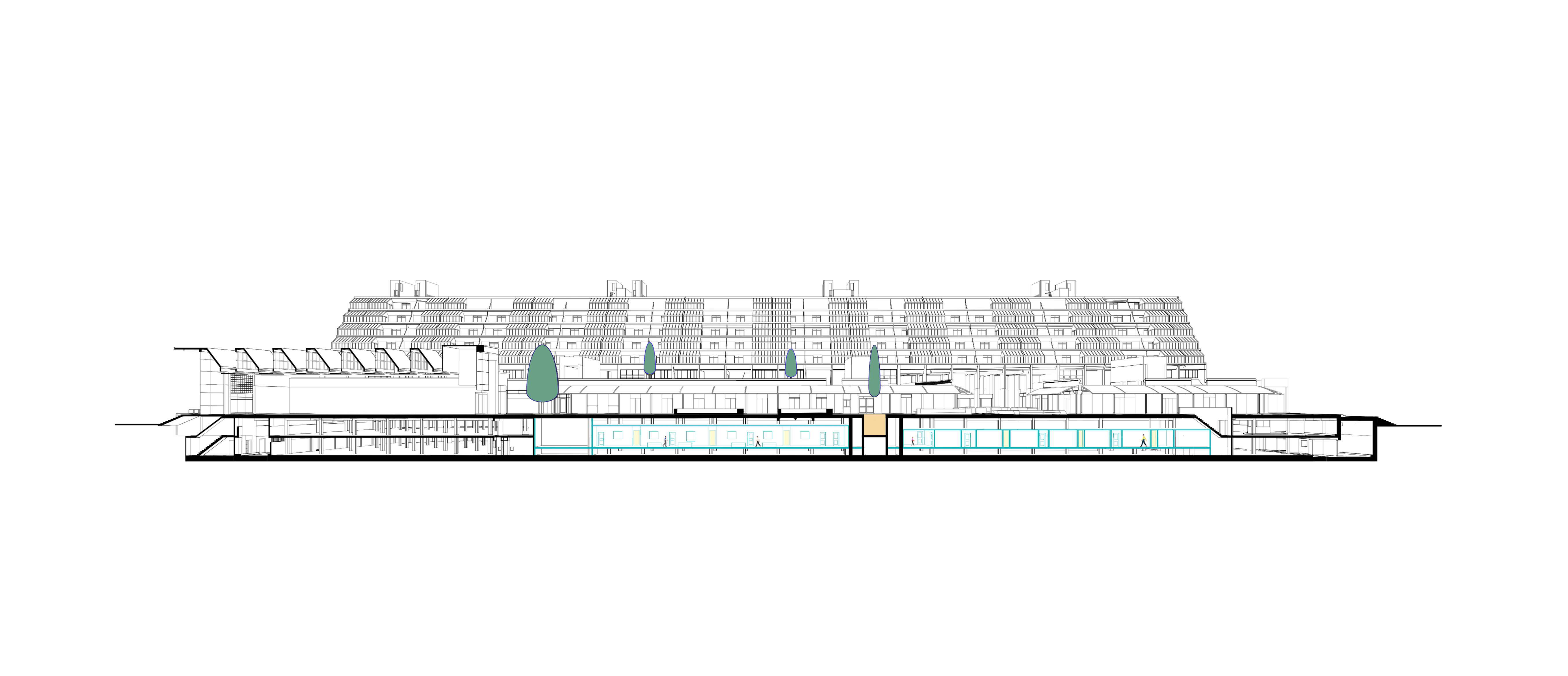 06-GA Section